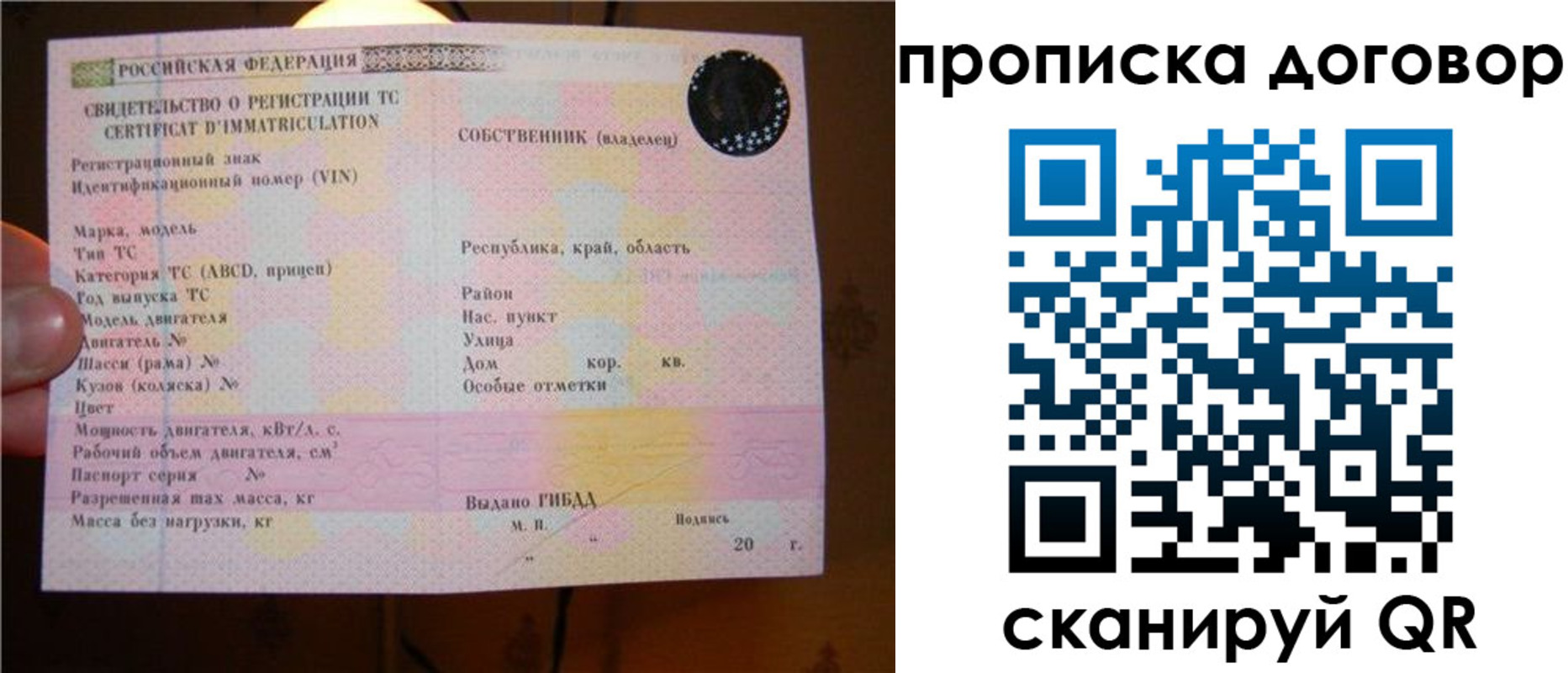 временная регистрация поиск в Новосибирской области